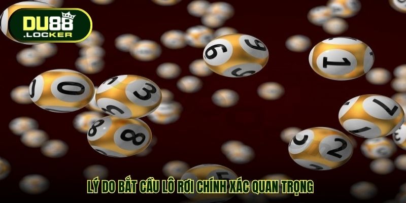 Bắt Cầu Lô Rơi Chính Xác DU88 – Bí Quyết Tính Cầu Hiệu Quả 2 Lý do bắt cầu lô rơi chính xác quan trọng