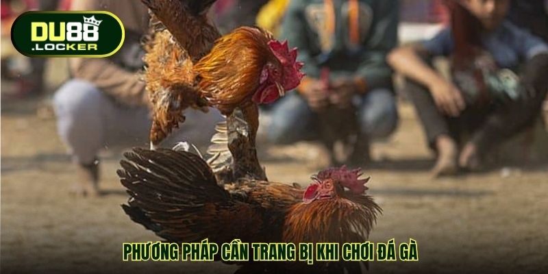 Cá Cược Đá Gà Online DU88 – Sân Chơi Uy Tín Cho Đam Mê 2 Phương pháp cần trang bị khi chơi đá gà